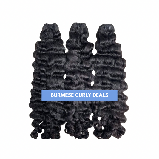 Burmese Curly Bundle Deals